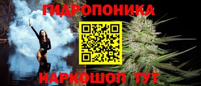 ПСИЛОЦИБИНОВЫЕ ГРИБЫ Заводоуковск