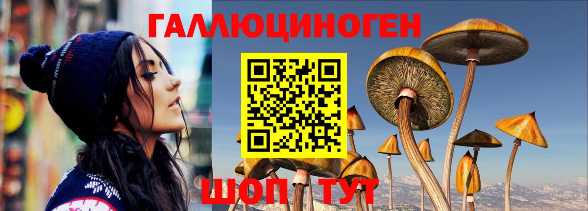 Галлюциногенные грибы мухоморы  Вход с VPN  Галлюциногенные грибы Psilocybine cubensis  Каспийск 